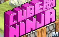 Cube Ninja