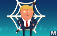 Spider Trump