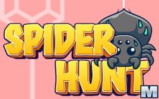 Spider Hunt