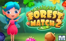 Forest Match 2