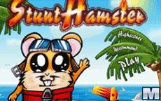 Stunt Hamster